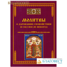 Молитвы о даровании спокойствия и сил после невзгод