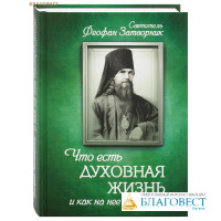 Что есть духовная жизнь и как на нее настроиться? Святитель Феофан Затворник