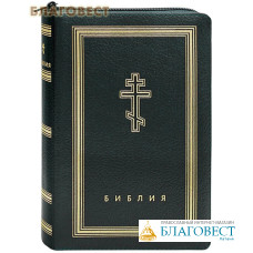 Библия. Переплет на молнии (рециклированная кожа). Золотой обрез